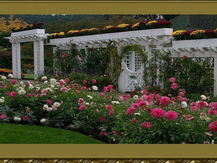 My Garden Summer Dream Garden