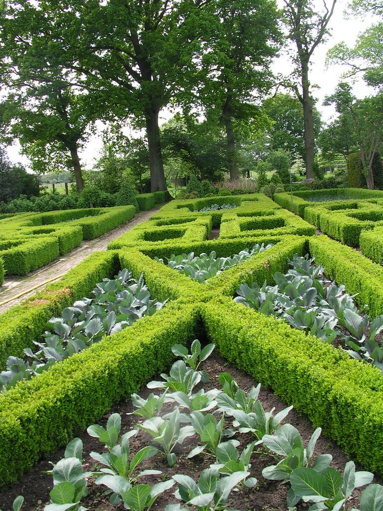 The Garden
