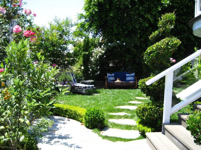 Backyard Formale