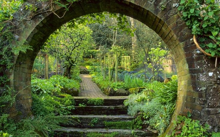 Somerset Border Plants