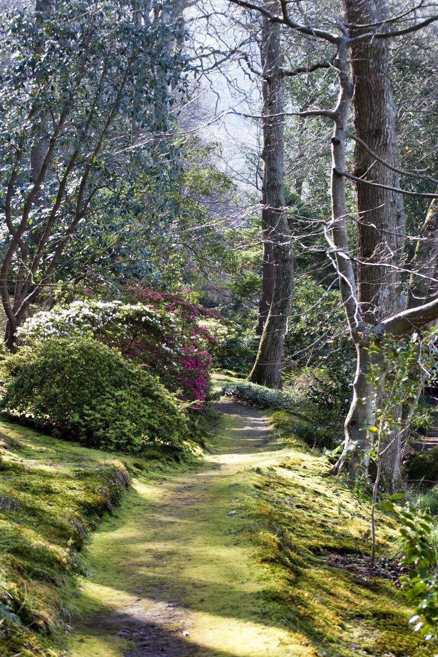 Greencombe Gardens Dream Garden