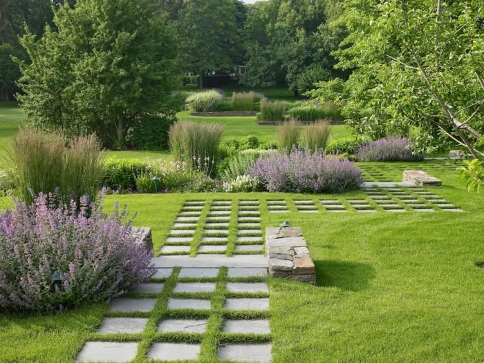 Springtime Garden Allium