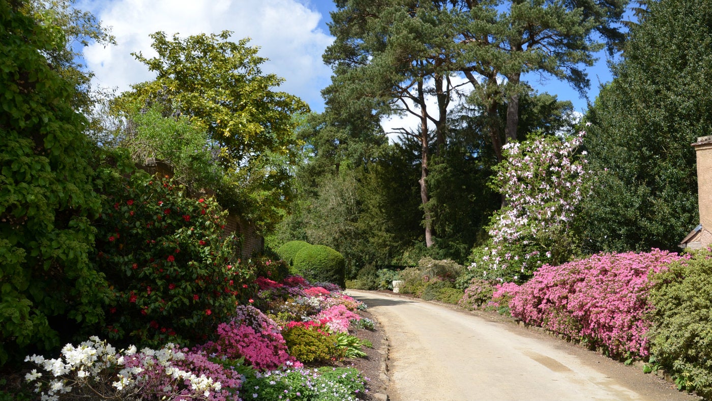 The Best Gardens