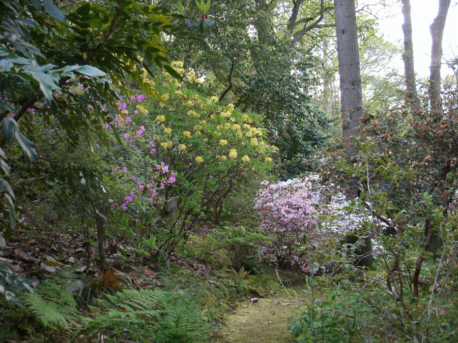 National Trust