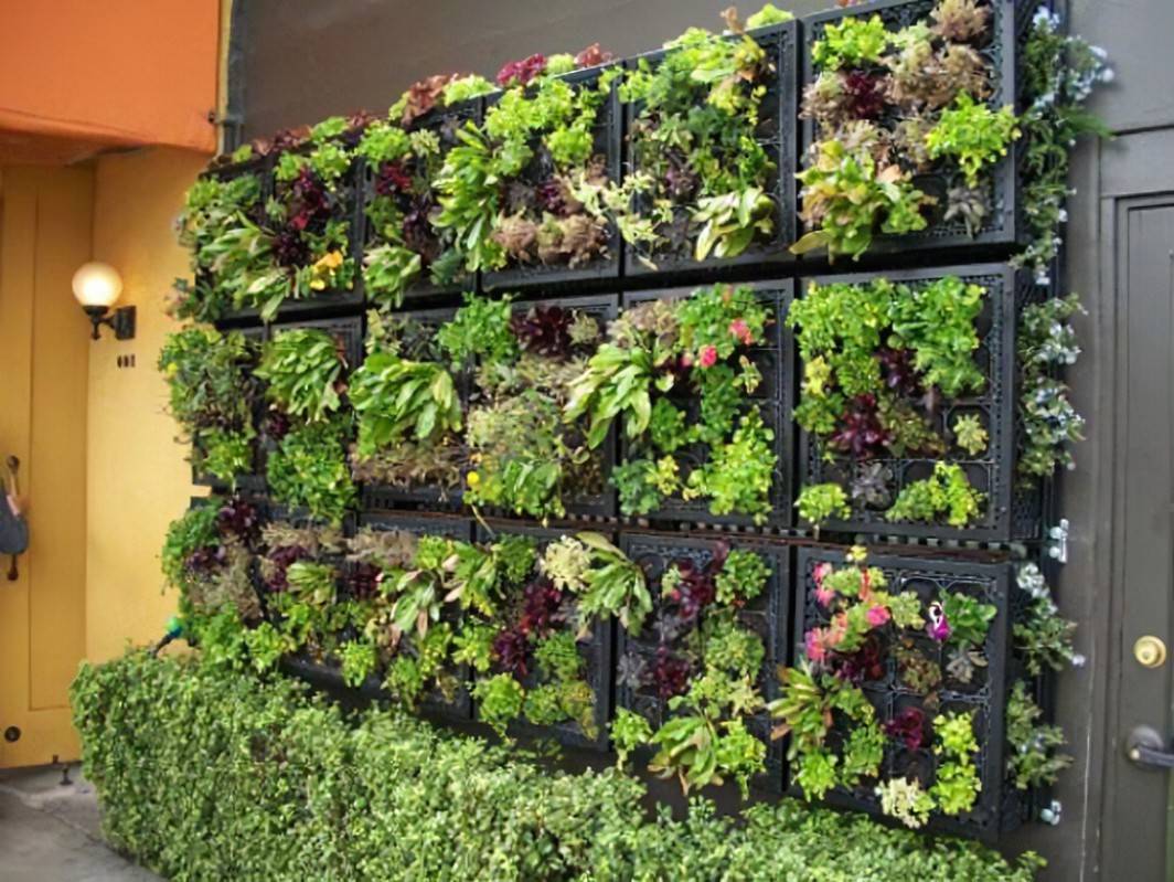 Succulents Living Walls Vertical Gardens Ideas