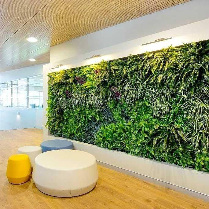 Breathtaking Living Wall Designs