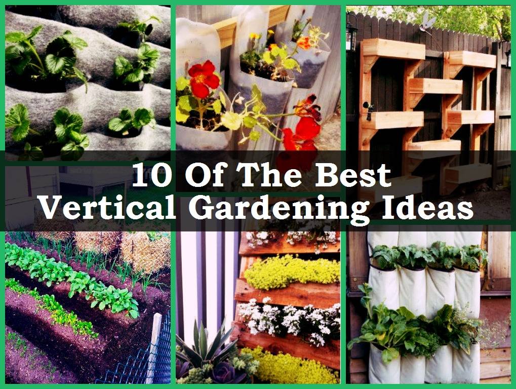 Small Space Proud Home Decor