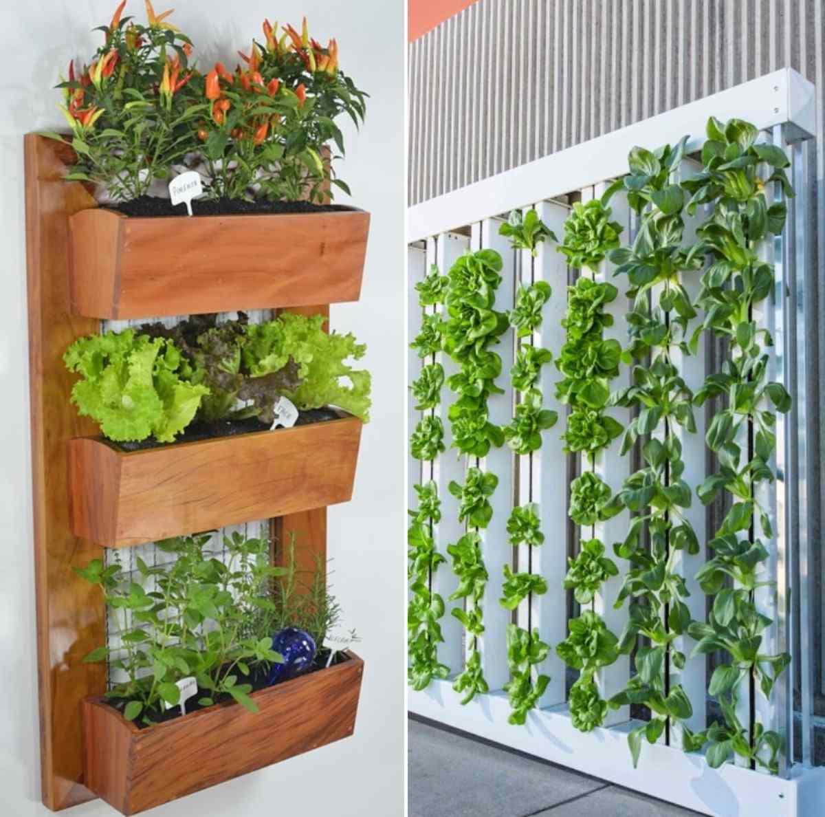 The Easiest Vertical Garden
