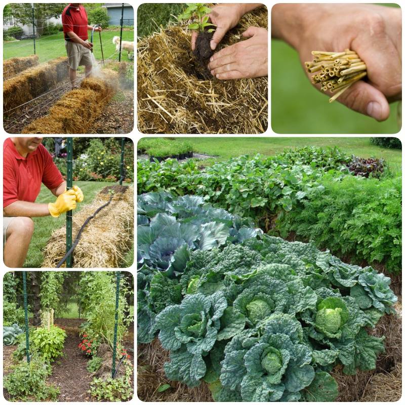 Ideas Garden Beds Ideas Straw Bales Vegetable Garden Design