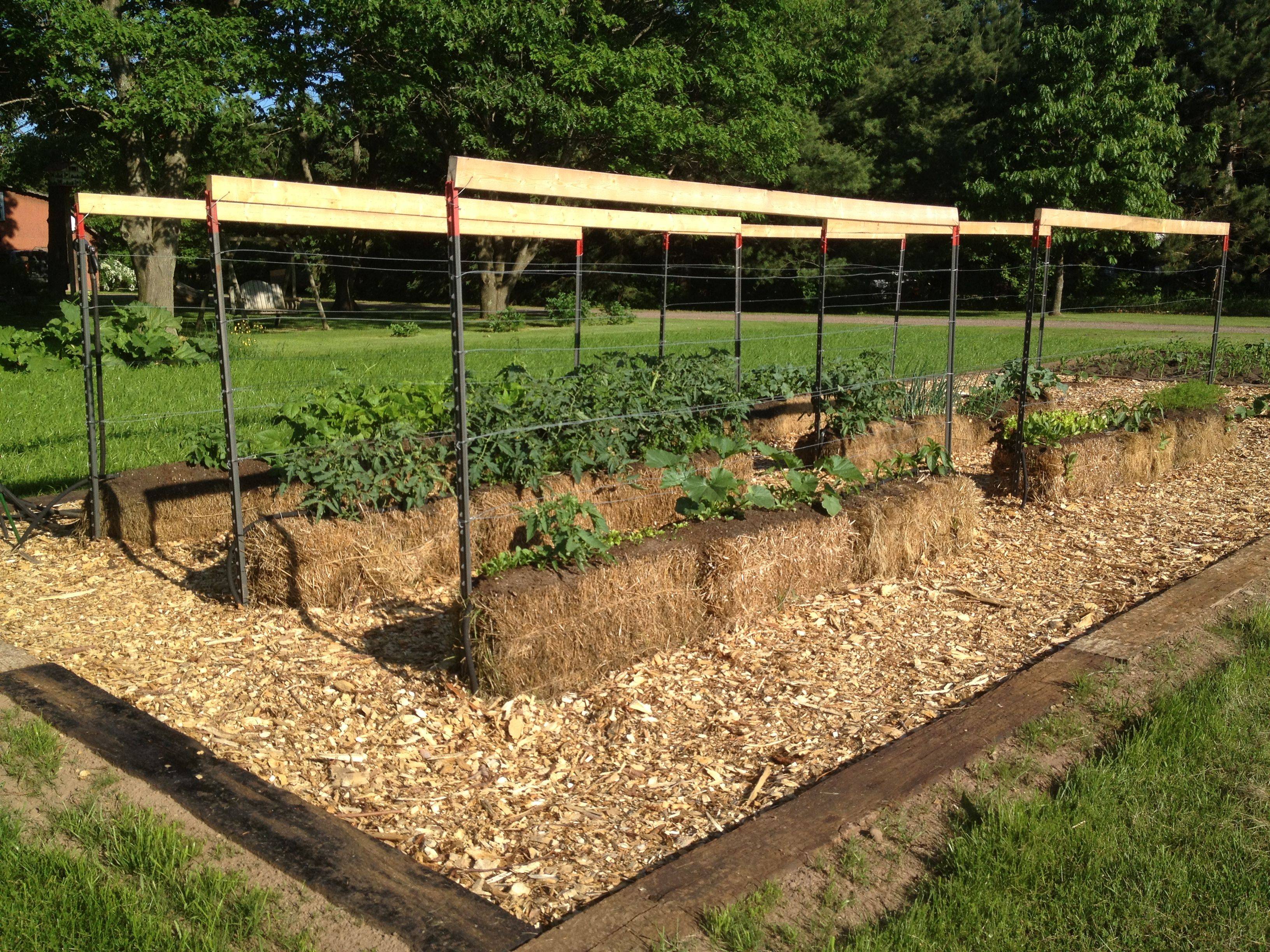 Straw Bale Gardening Straw Bale Gardening