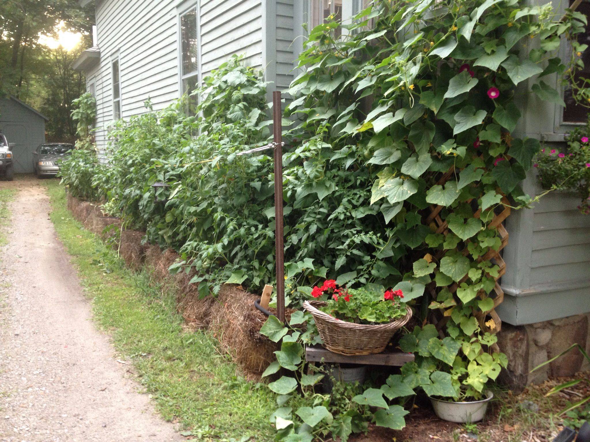 Straw Bale Gardening