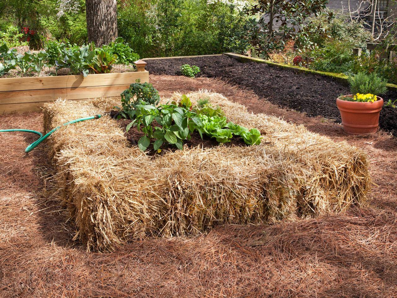 To Straw Bale Gardening