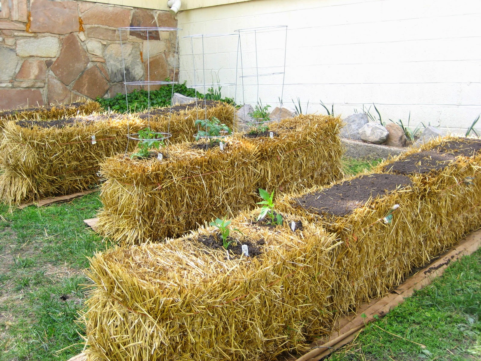 Straw Bale Gardening