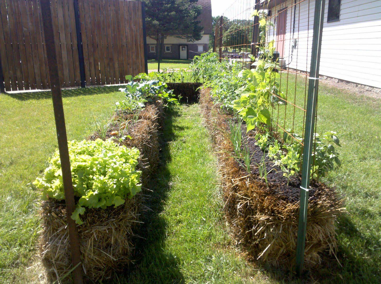 Your Own Straw Bale Garden