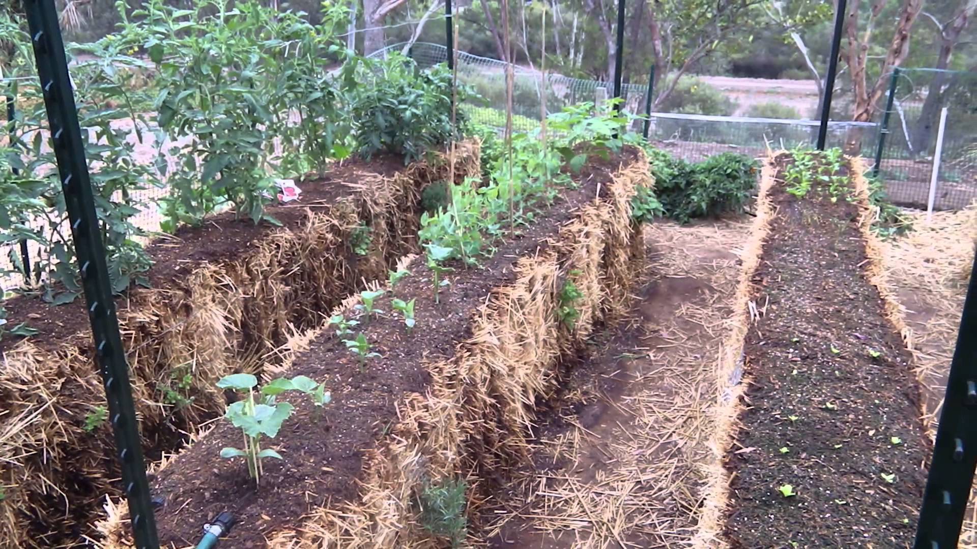 Straw Bale Gardening