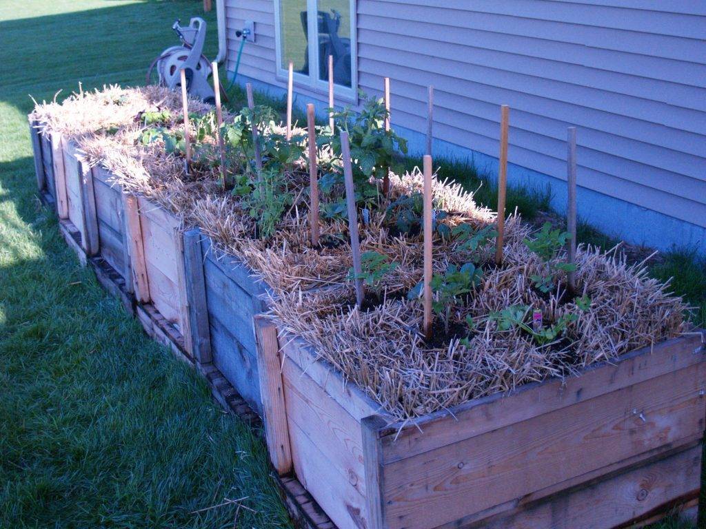 Straw Bale Gardening