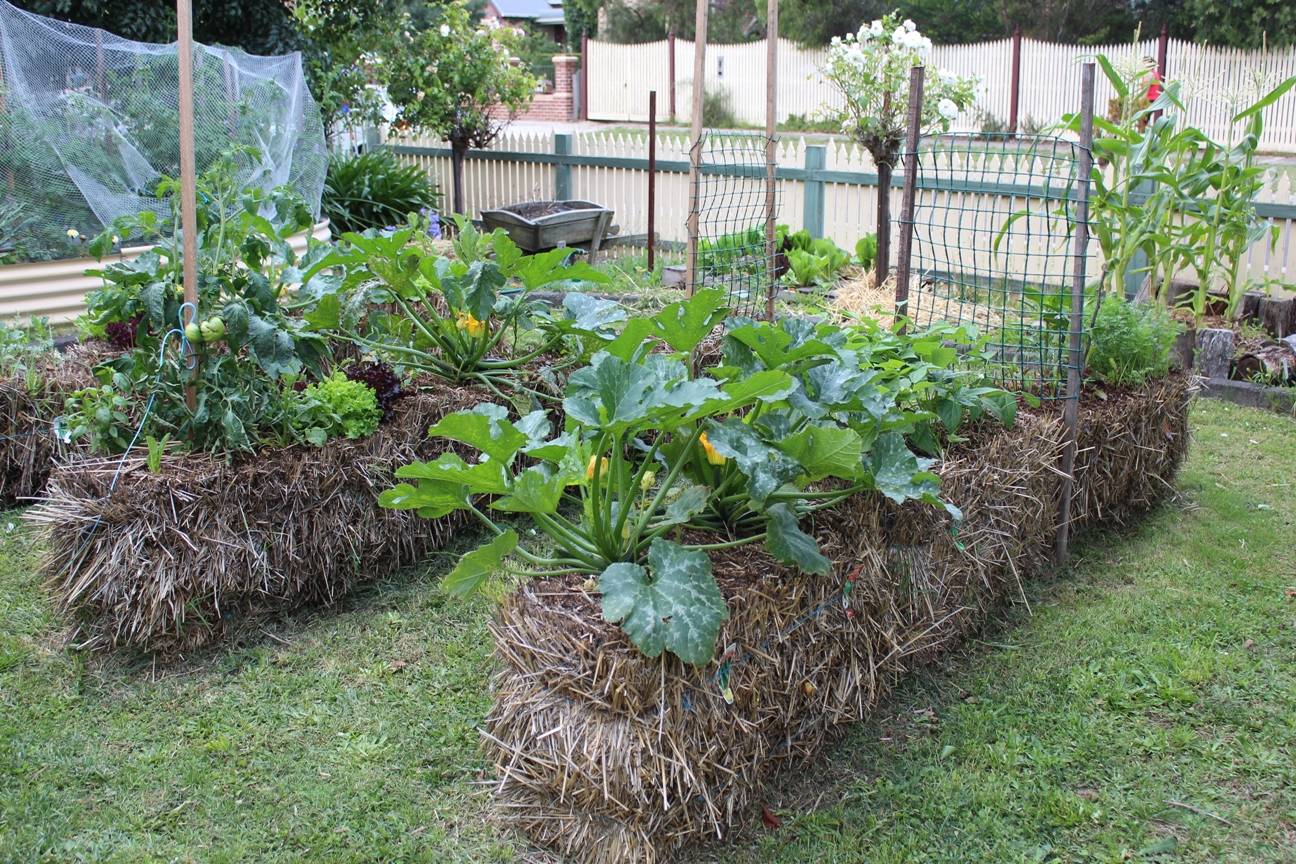 Hay Bale Gardening