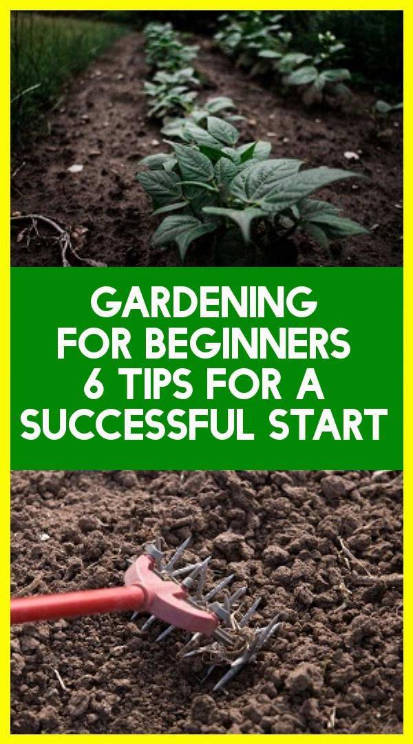 Diy Gardening Hacks Ideas