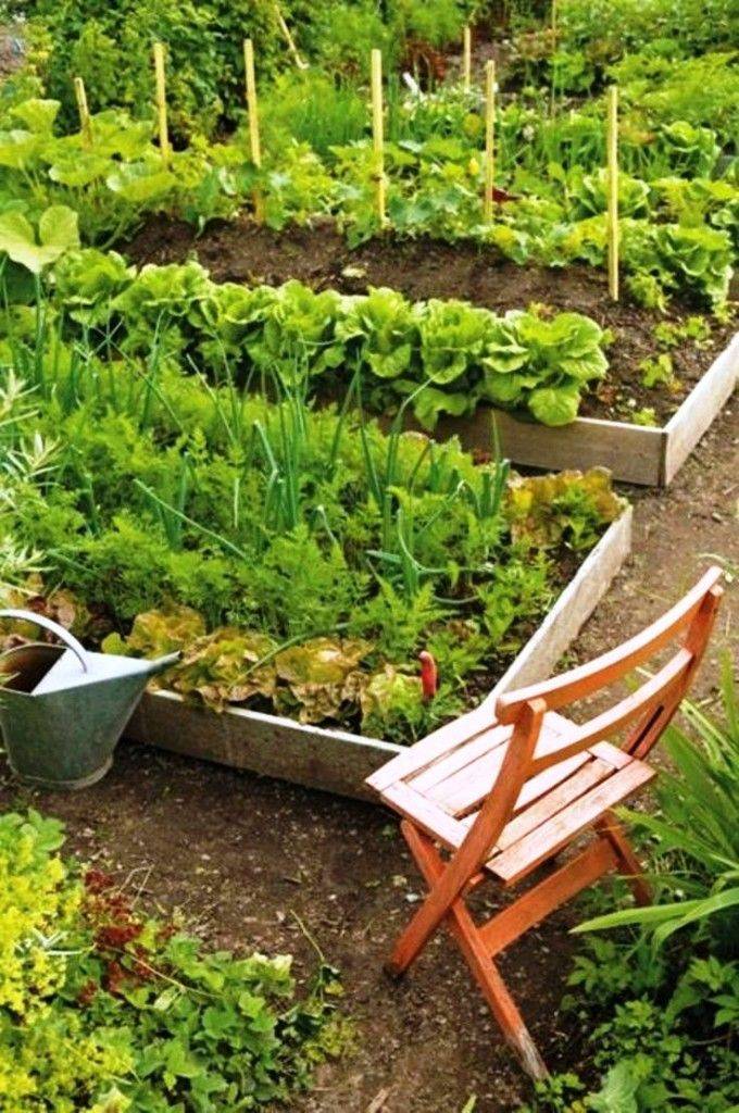 A Simple Herb Garden