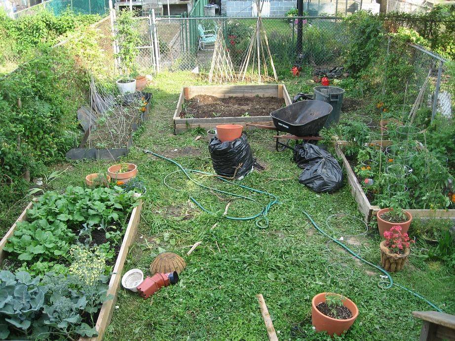 A Vegetable Garden