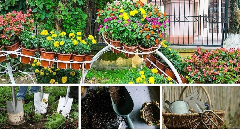 Raised Bed Vegetable Gardening