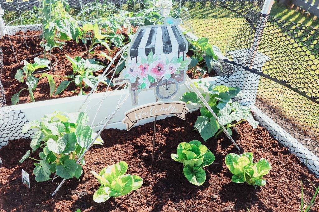 A Beautiful Raised Bed Vegetable Garden