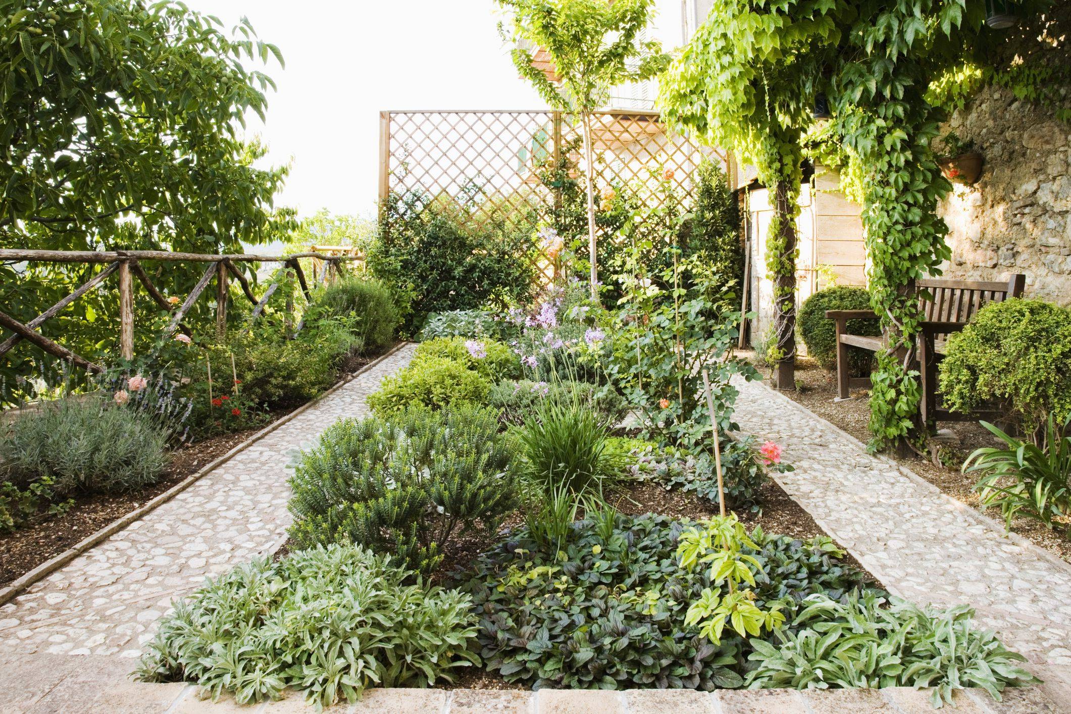 A Beautiful Raised Bed Vegetable Garden