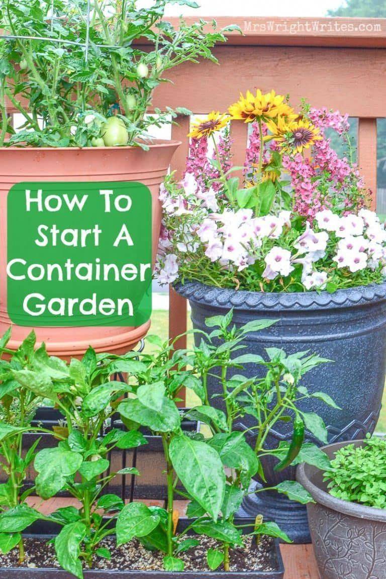 Beginners Design Ideas