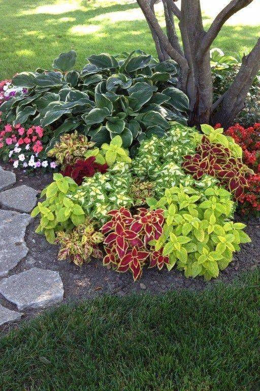 Every Gardening Enthusiast