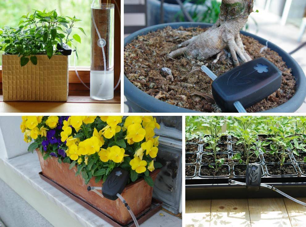 Each Garden Enthusiast