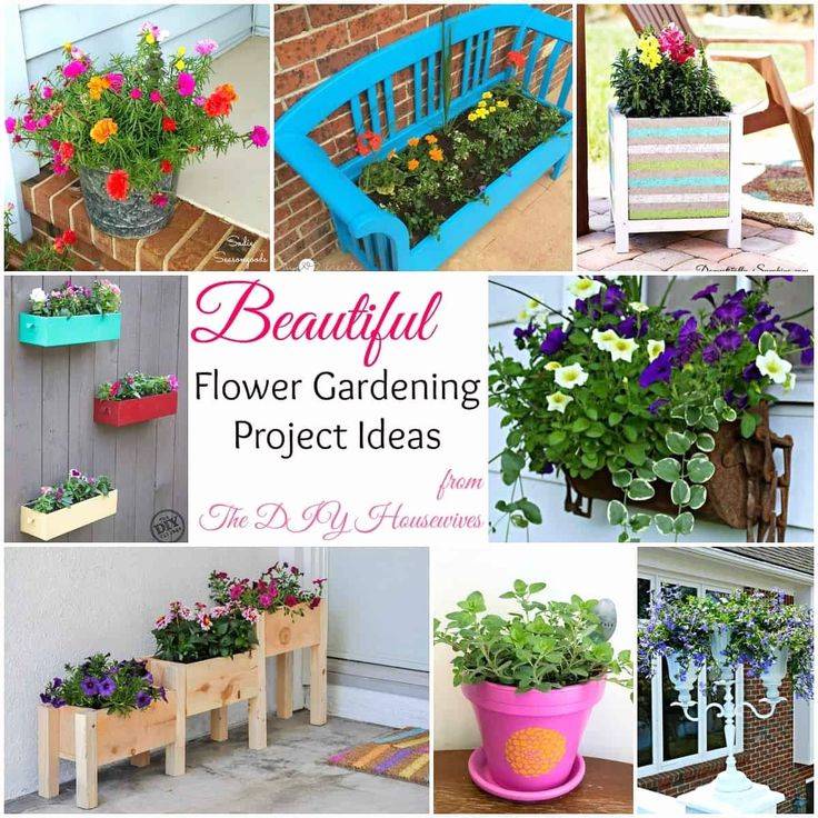 Each Garden Enthusiast