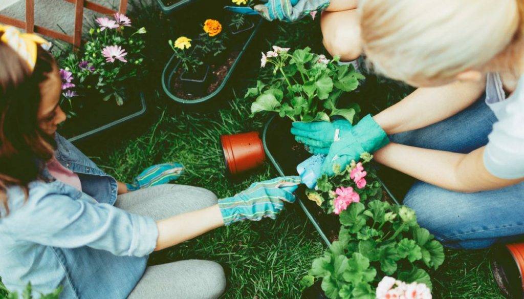 Each Garden Enthusiast