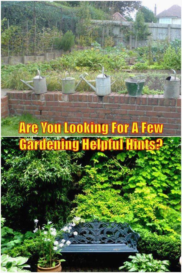 Each Garden Enthusiast