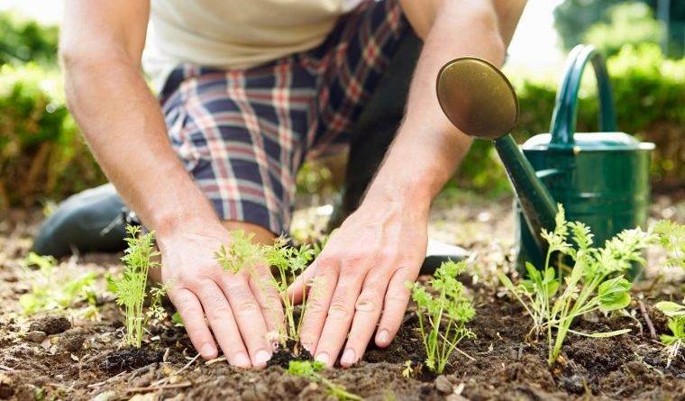 Each Garden Enthusiast
