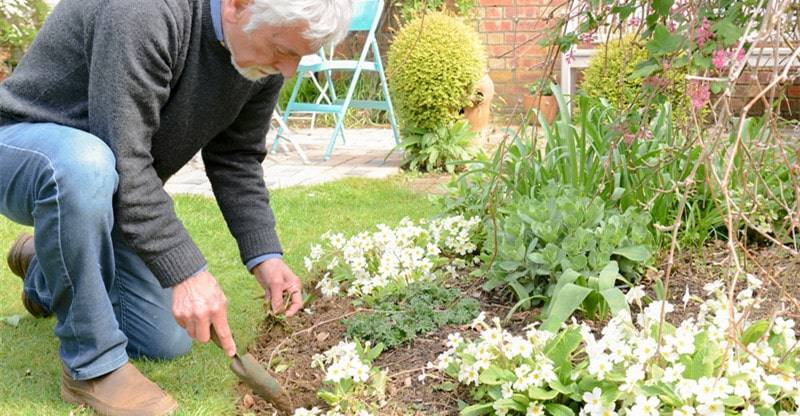 Every Aspiring And Gardener Enthusiasts Youtube