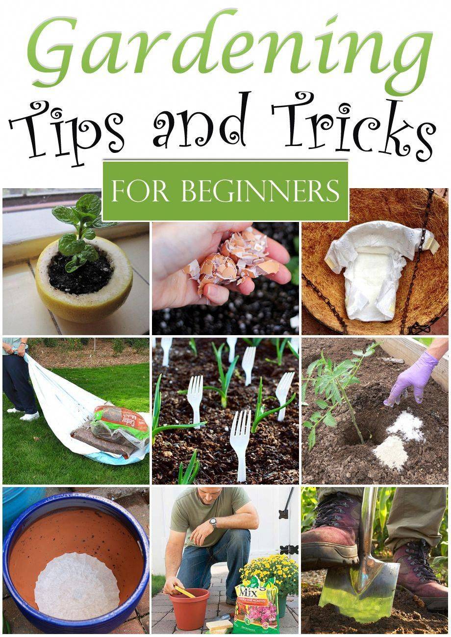 Gardening Enthusiasts