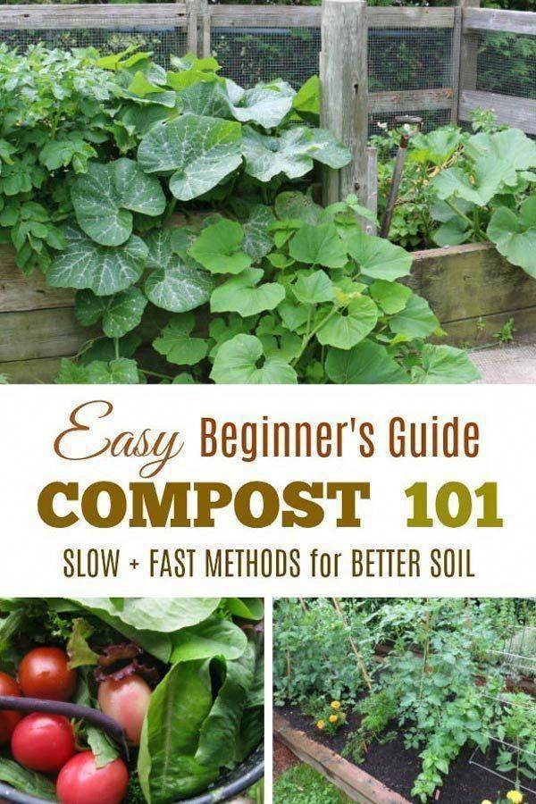 Indoor Gardening Gift Ideas