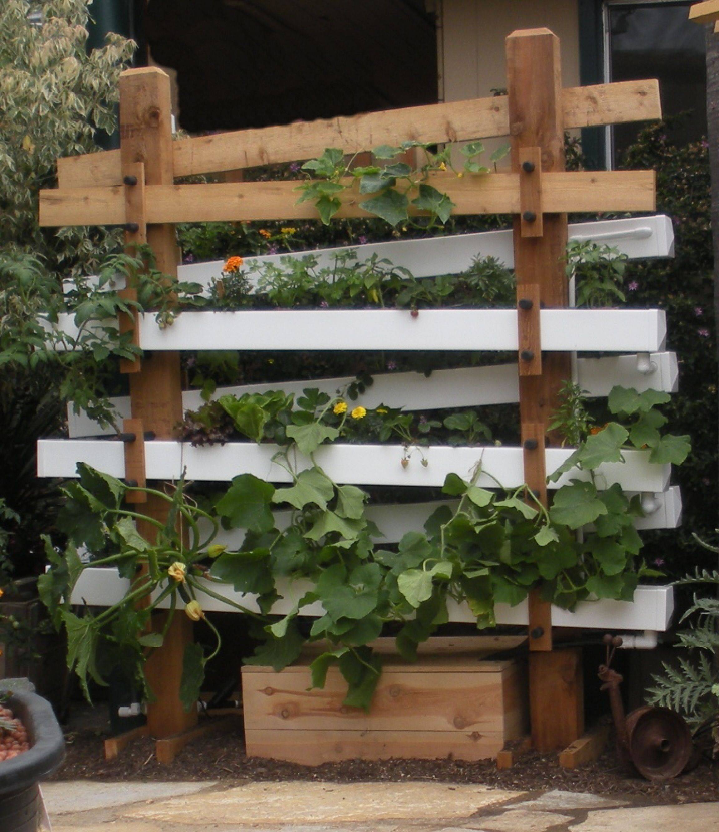 A Pallet Pallets Garden