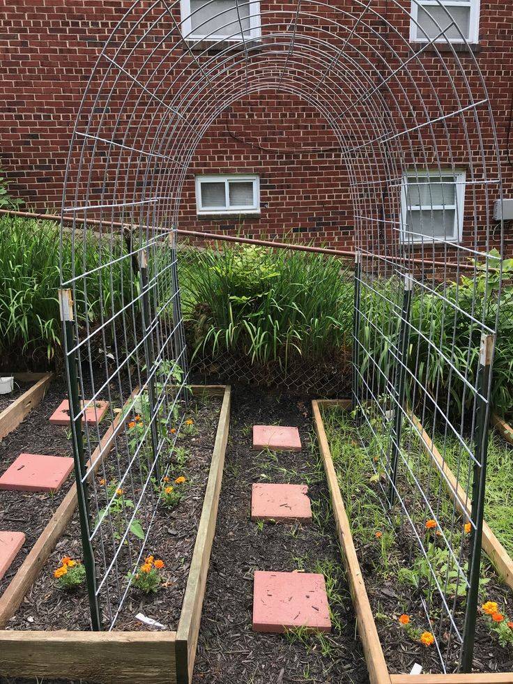 Easy Creative Privacy Fence Design Ideas