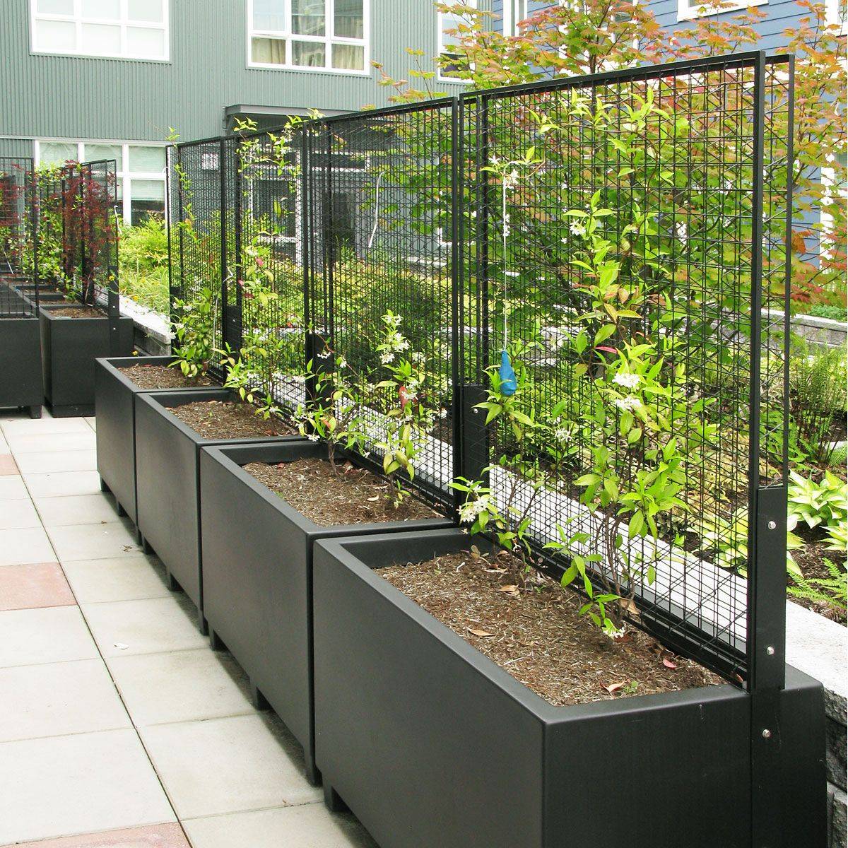 Impressive Indoor Vertical Garden Decor Ideas