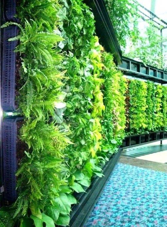 Small Vertical Garden Planting Panel Home And Garden Designs