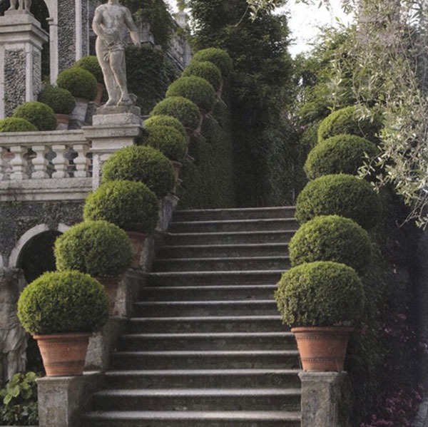 Luxury Villa Exterior