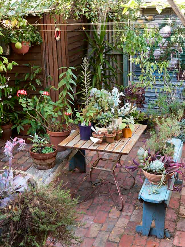 A Fantasy Cottage Garden
