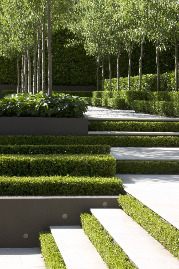 Landscape Design