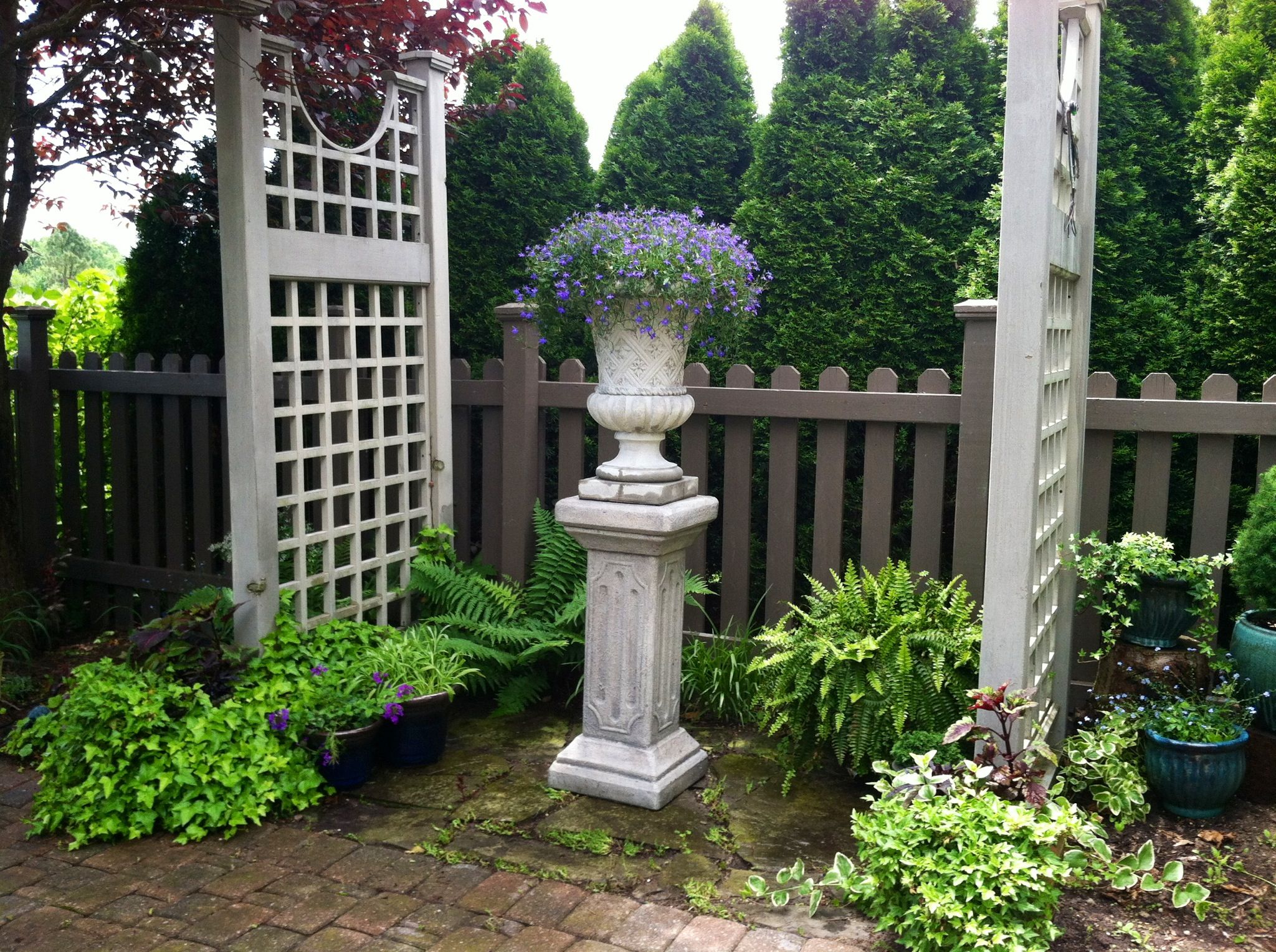 Google Search Backyard Landscaping Designs