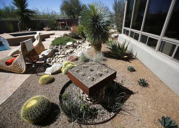 The Tucson Botanical Gardens Elise M Stone