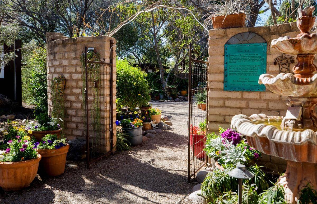 The Tucson Botanical Gardens Elise M Stone