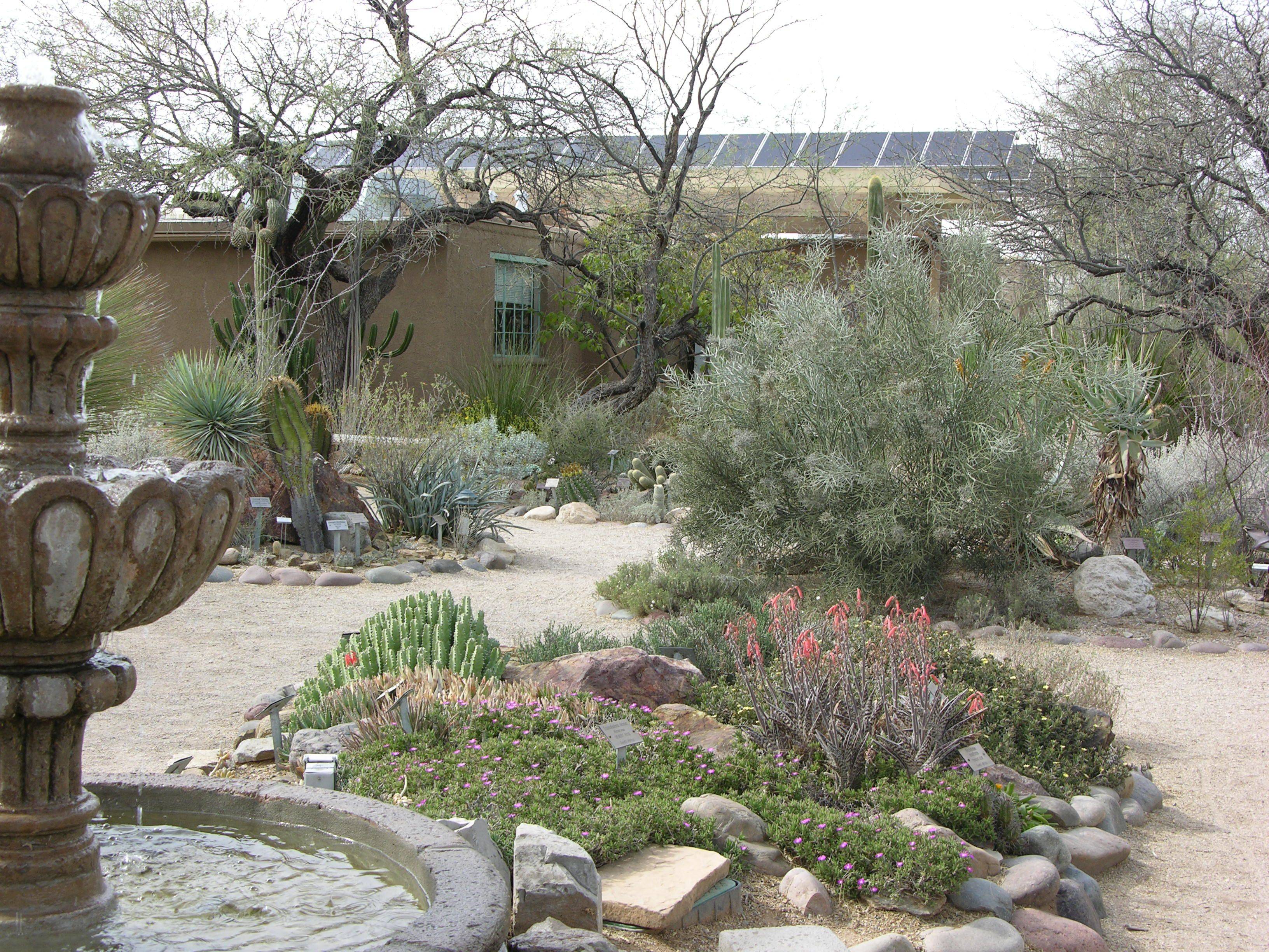 21 Tucson Botanical Garden Ideas Worth to Check SharonSable