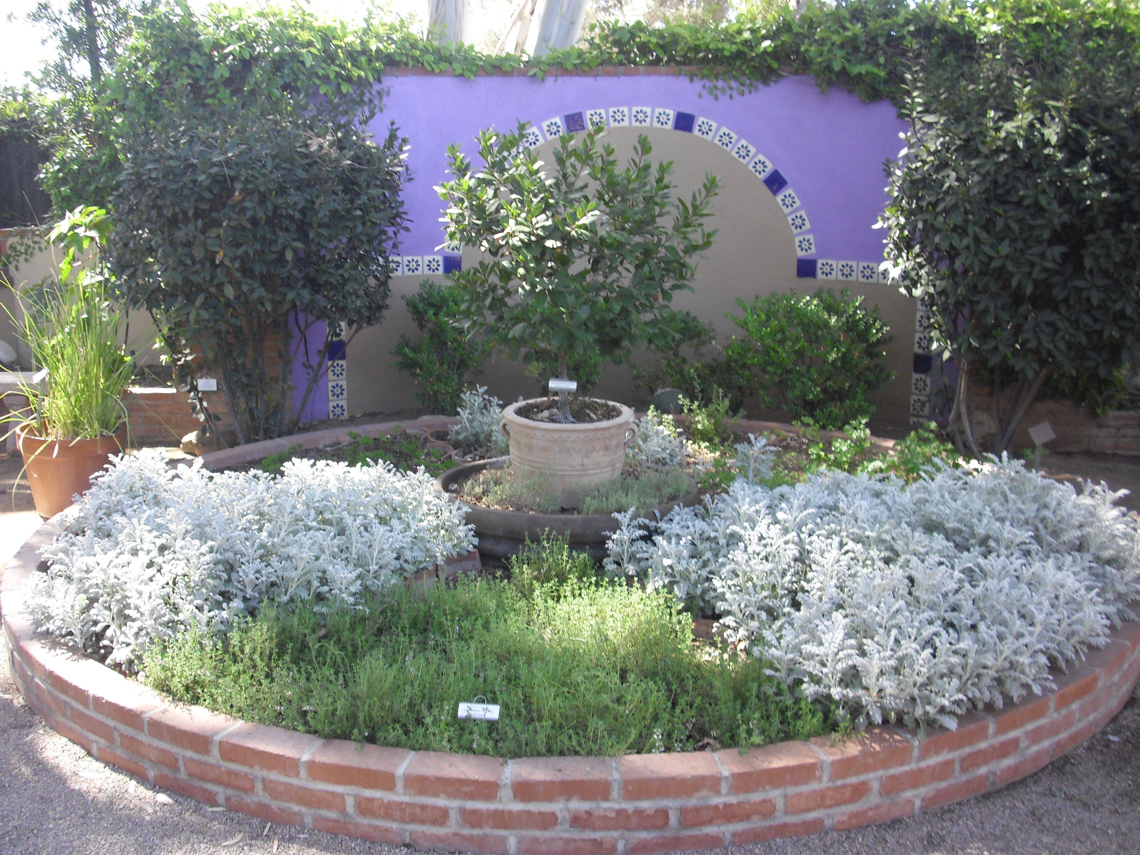 Photos Tucson Botanical Gardens Th Anniversary Latest News