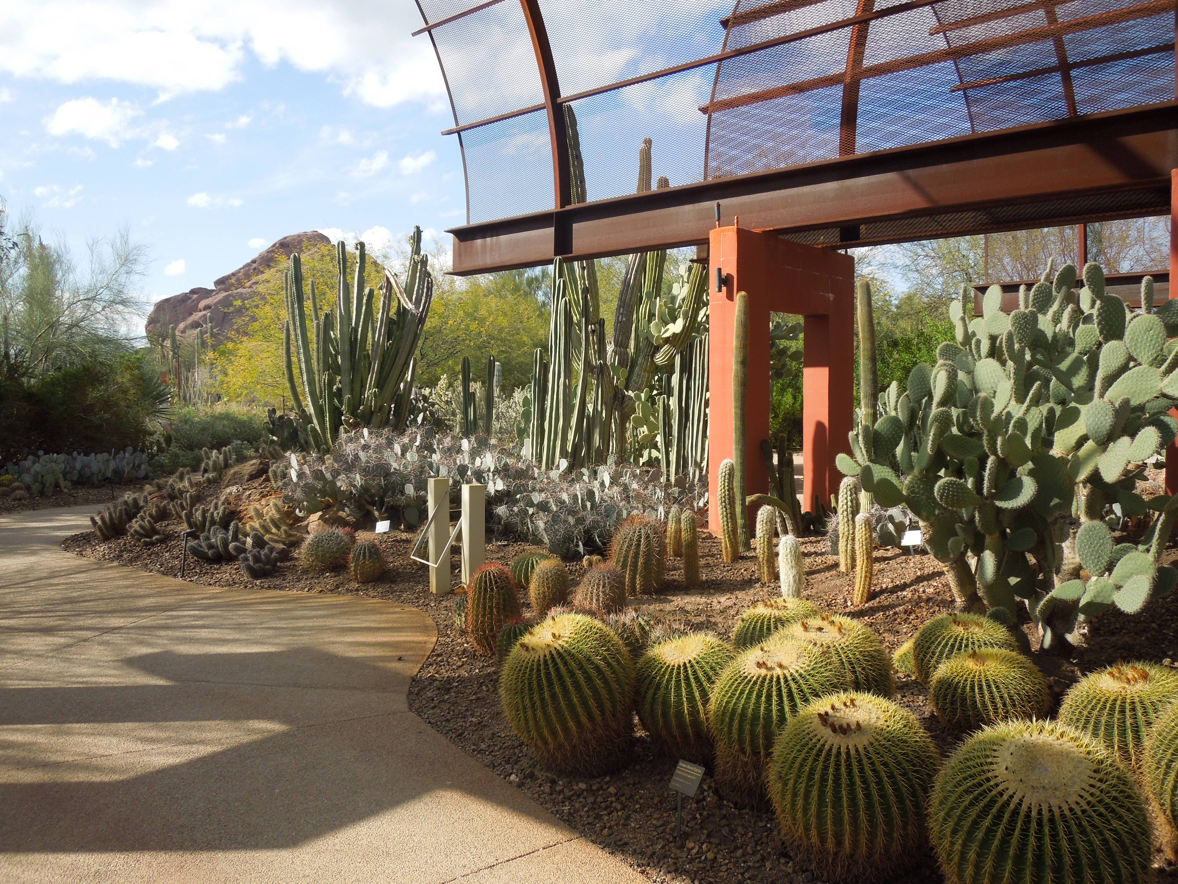 Tucson Botanical Gardens